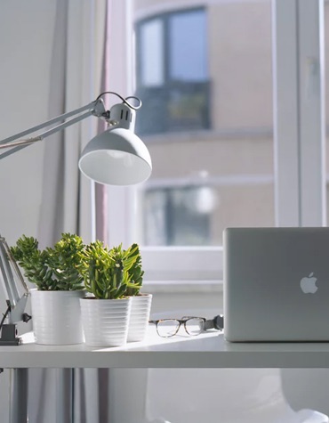 A desk with a laptop, lamp, and plants.